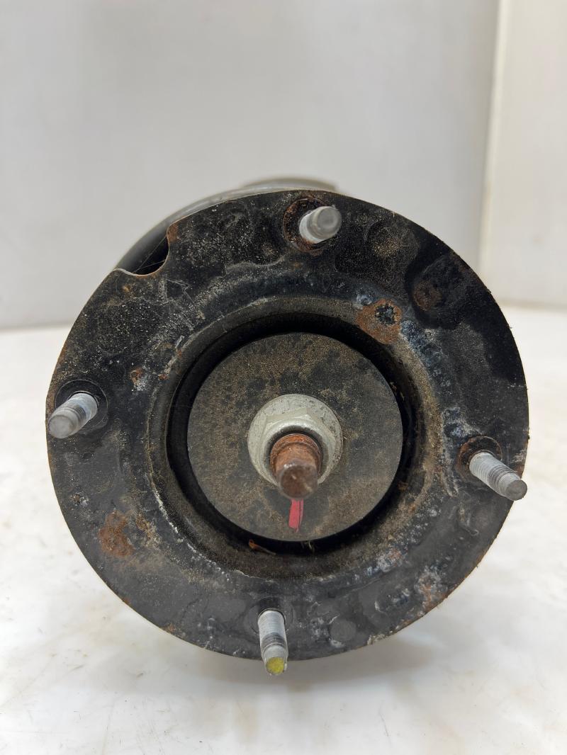 2007 Ford Mustang Strut Assembly