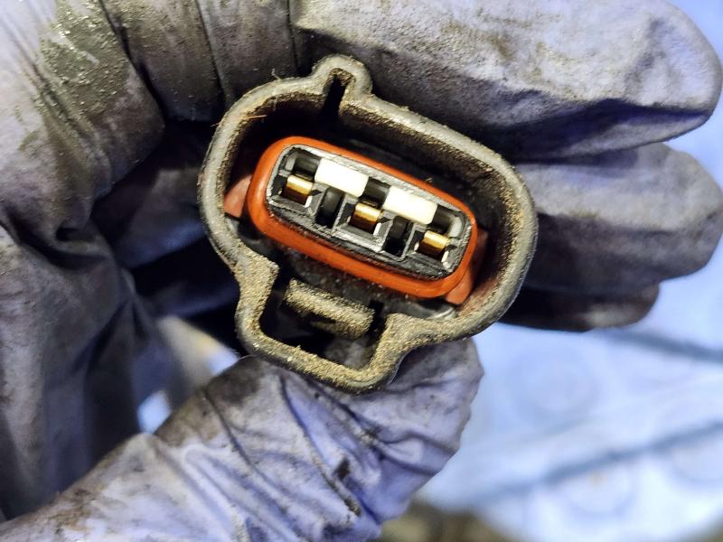1997 Toyota Tacoma Wire Harness (Engine)
