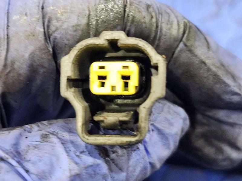 1997 Toyota Tacoma Wire Harness (Engine)