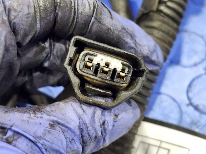 1997 Toyota Tacoma Wire Harness (Engine)
