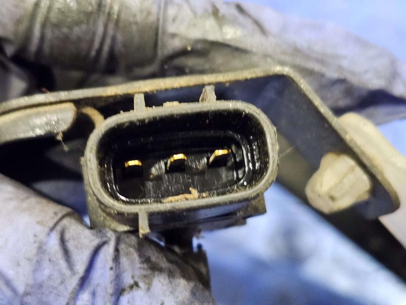 1997 Toyota Tacoma Wire Harness (Engine)