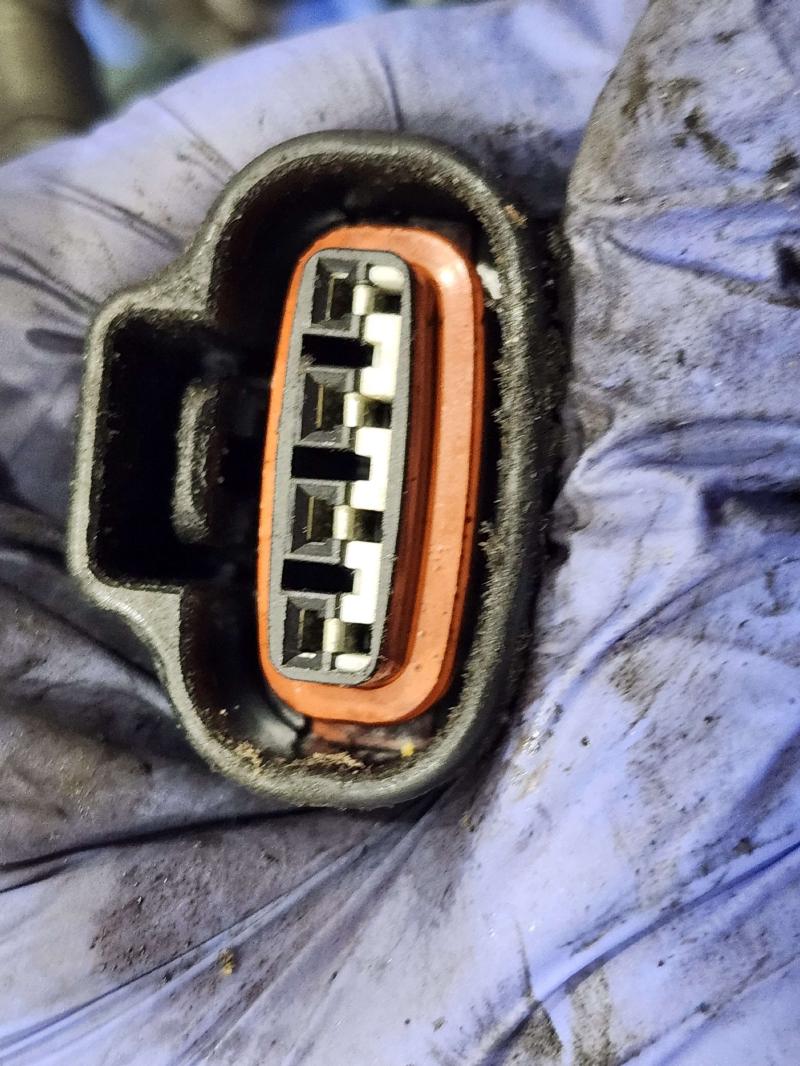 1997 Toyota Tacoma Wire Harness (Engine)