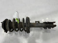 2014 Hyundai Veloster Strut Assembly