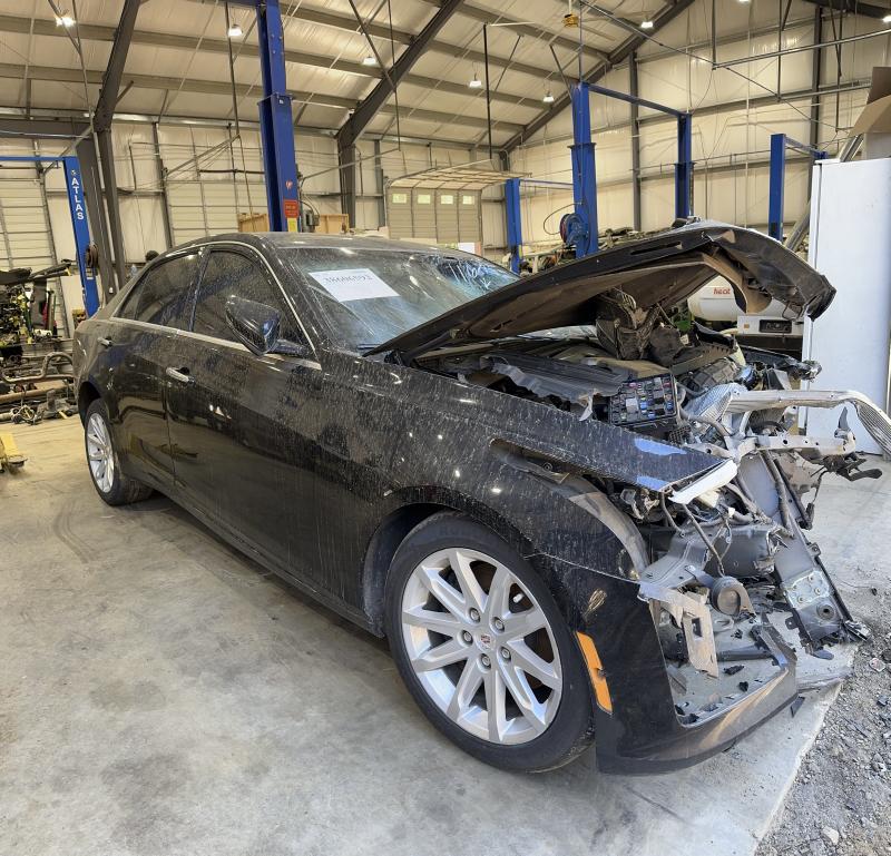 2014 Cadillac CTS Back Glass/Window