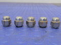 2010 Nissan Murano Lug Nuts