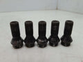2018 BMW 430i Lug Nuts