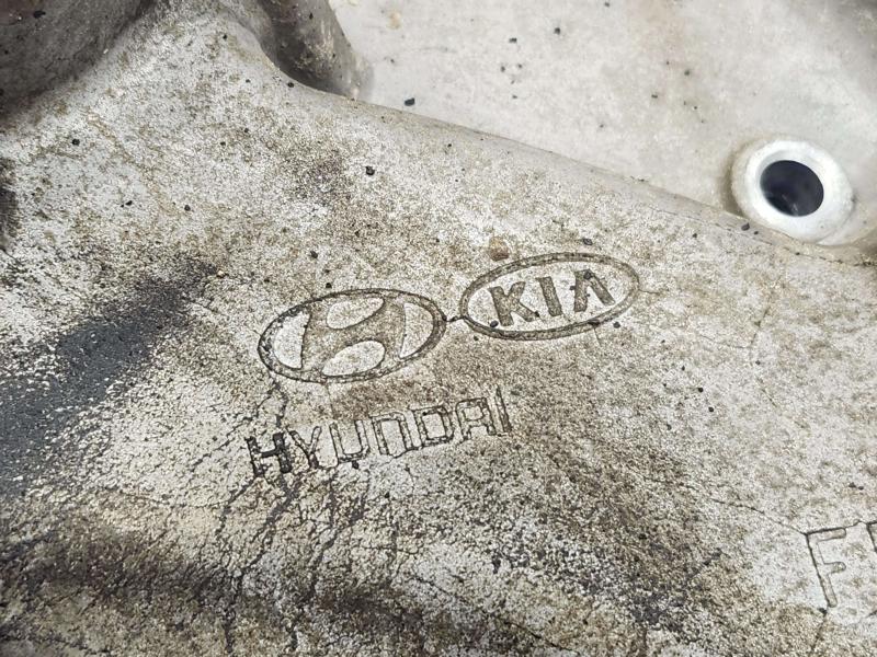 2011 Kia Sorento Timing Cover