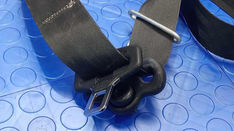 2013 Ford Focus Front Seat Belt