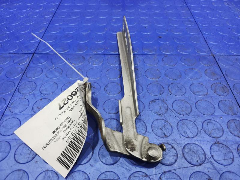 2014 Honda Accord Hood Hinge