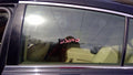 2008 Lexus GS 350 Rear Door Glass/Window
