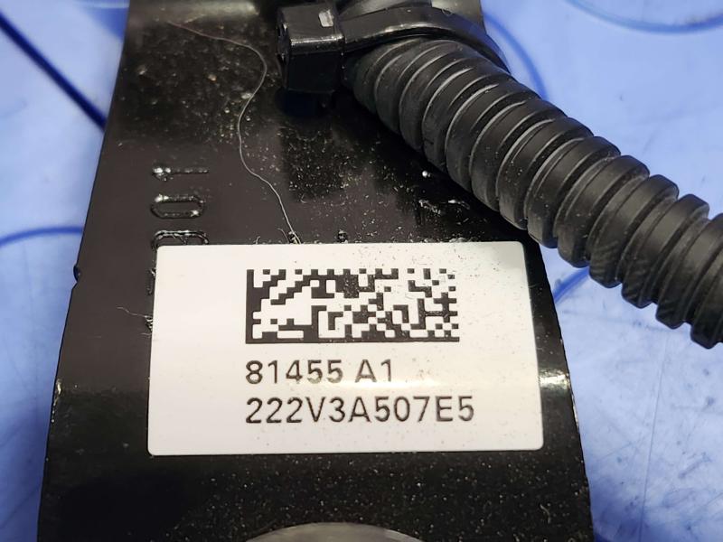 2022 Honda Accord Front Seat Belt