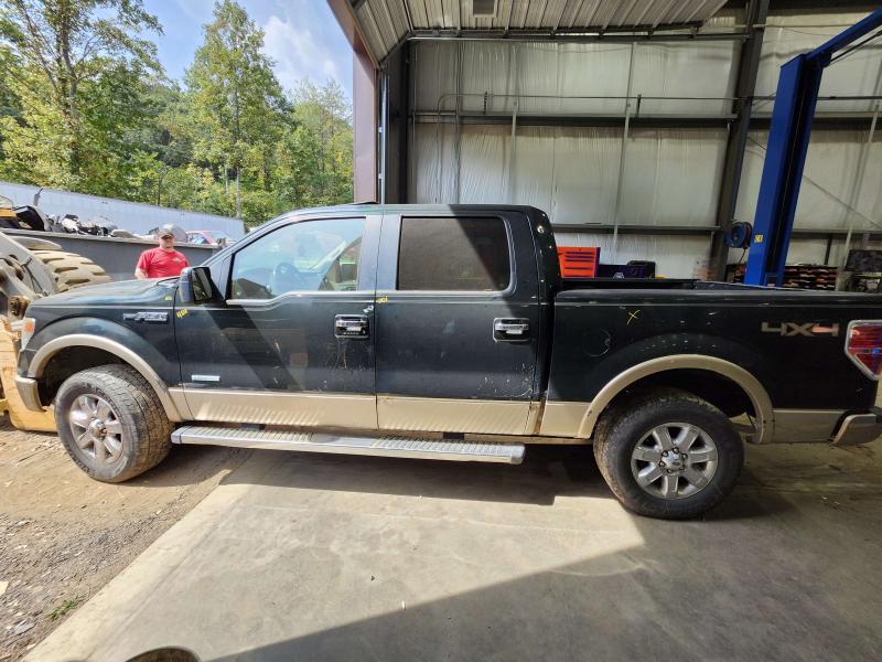 2013 Ford F-150 Air Bag