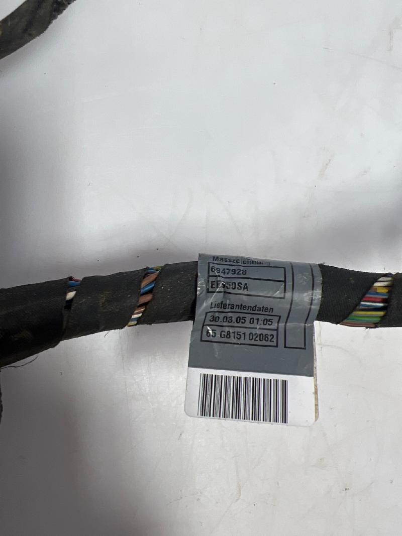 2005 BMW Z4 Wire Harness (Door)