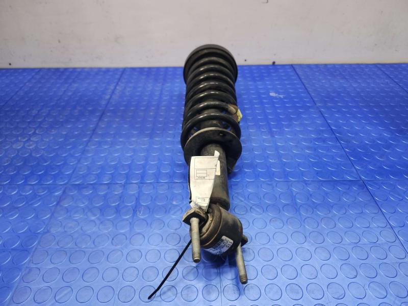 2018 Ford F-150 Strut Assembly