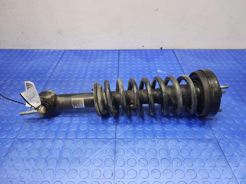 2018 Ford F-150 Strut Assembly