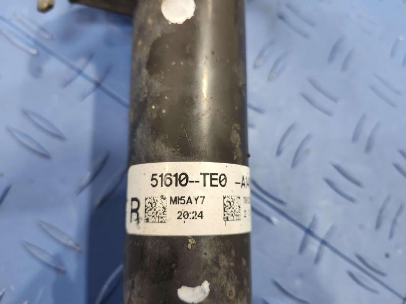 2011 Honda Accord Strut Assembly