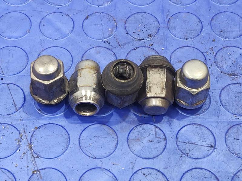 1980-1996 Ford F-150 Alloy Wheel Lug Nuts 5 Pcs Genuine OEM E8LY-1012-A