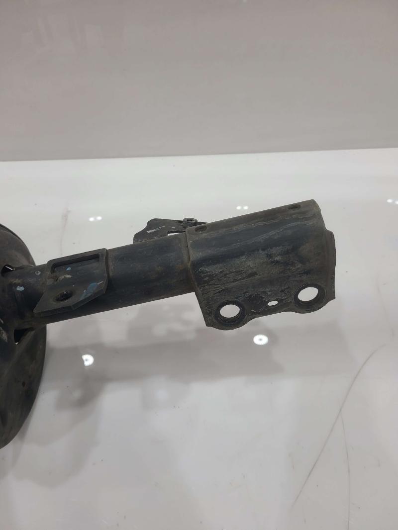 2003 Toyota Camry Strut Assembly