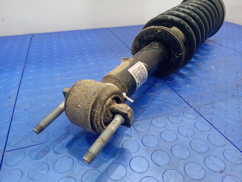 2016 Ford F-150 Strut Assembly