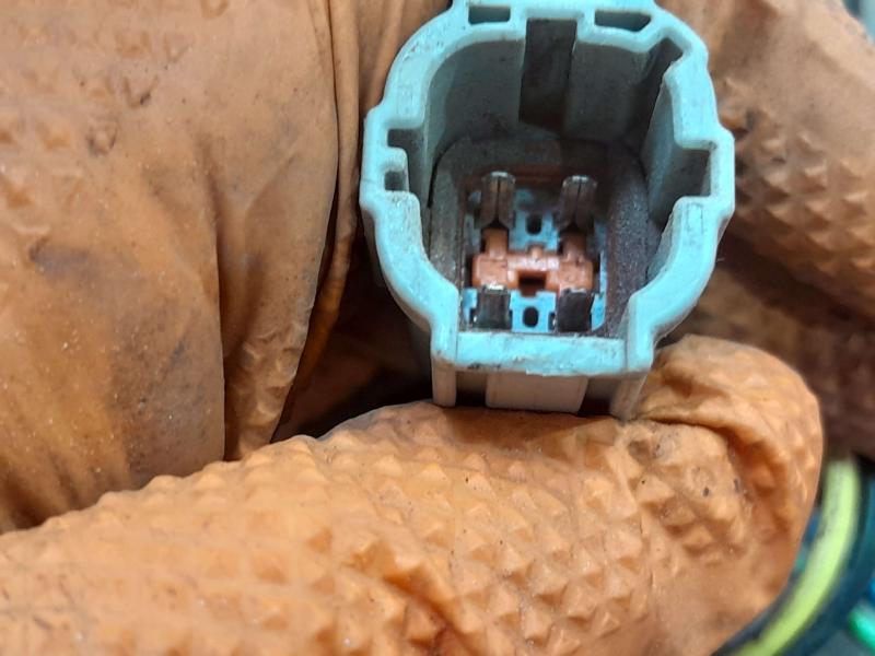2006 Nissan Pathfinder Electric Cooling Motor