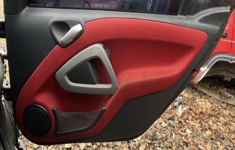 2008 2009 Smart Fortwo Front Door Panel RH Passenger Side Red Cloth OEM 4517202470C82U