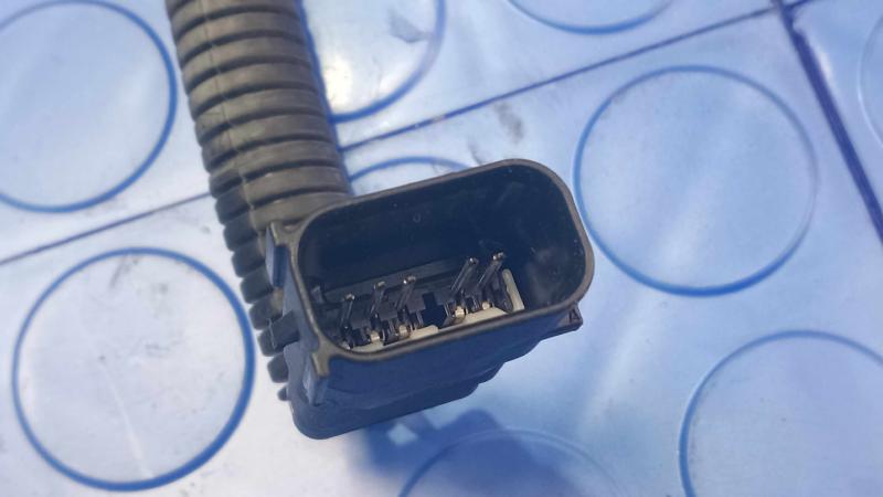 2013 Ford Focus Front Seat Belt