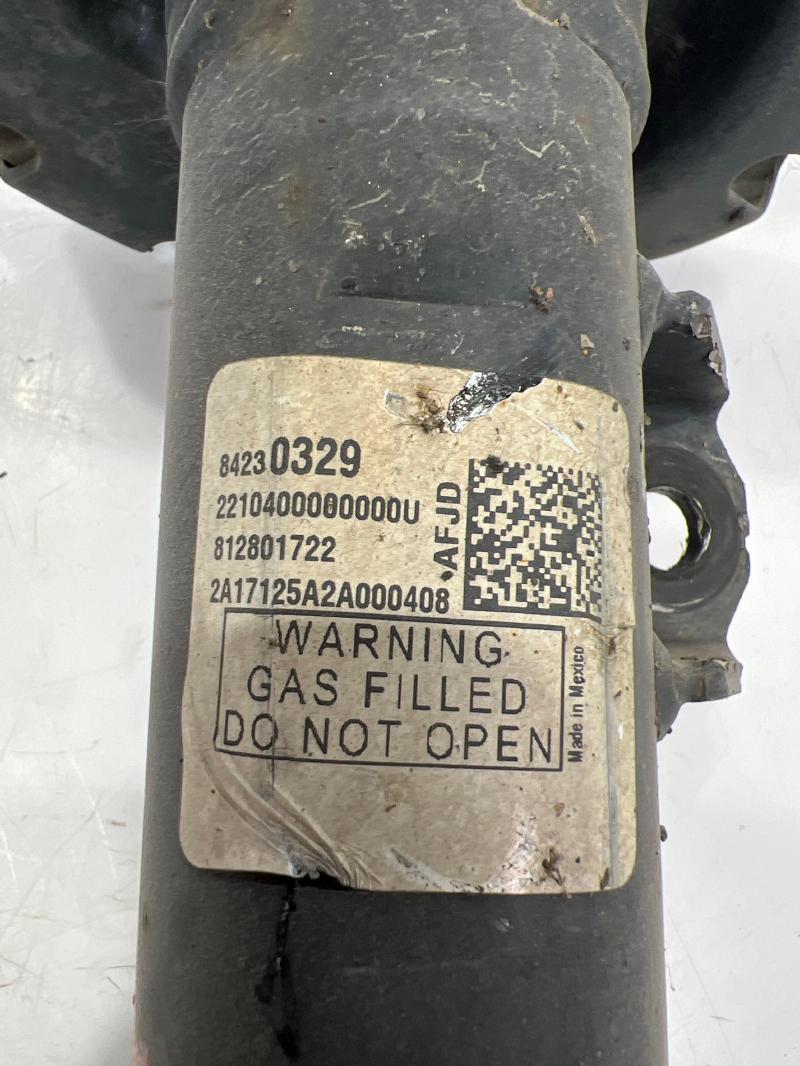 2018 Chevrolet Equinox Strut Assembly