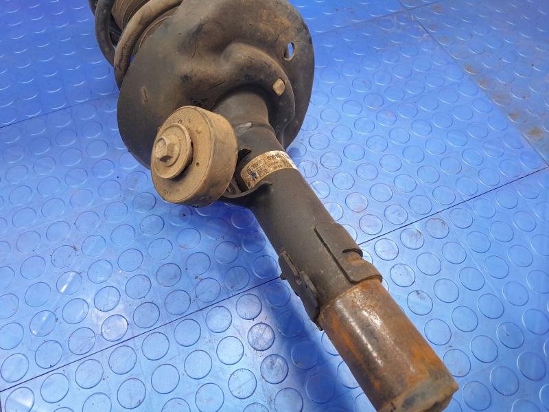 2014 Honda Accord Strut Assembly