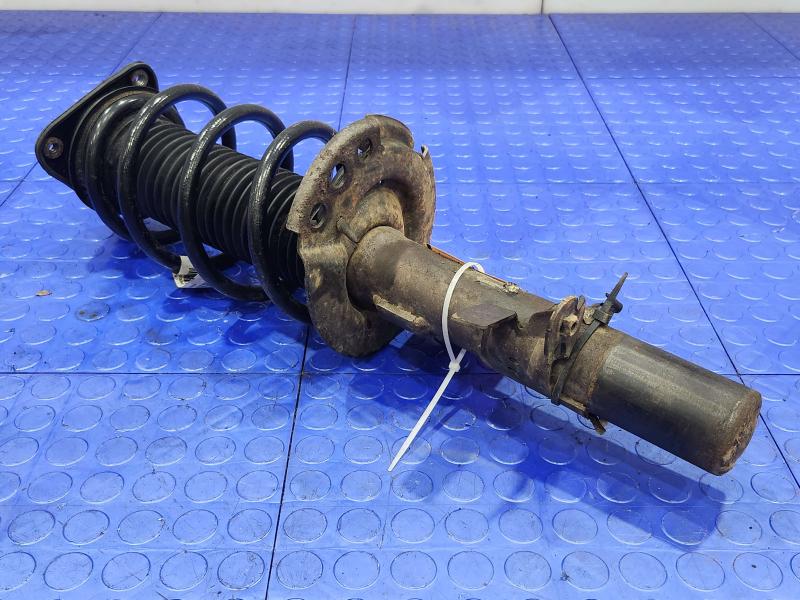2017 Ford Focus Strut Assembly