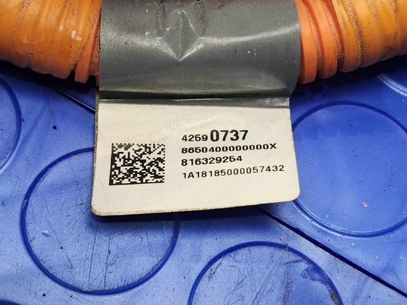 2019 Chevrolet Bolt Wire Harness (Misc)