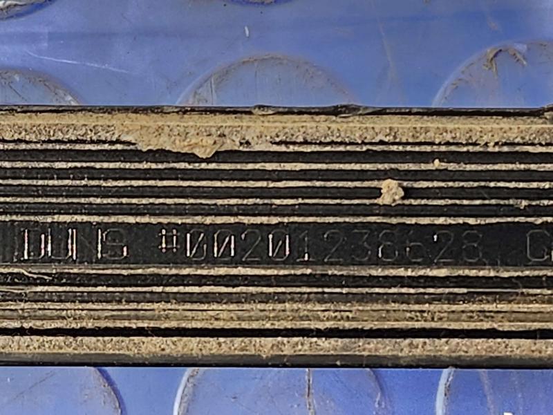 2019 Chevrolet Silverado 3500 Rear Door Moulding