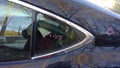 2015 Lexus ES 350 Rear Vent Glass/Window