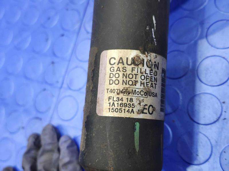 2015 Ford F-150 Strut Assembly