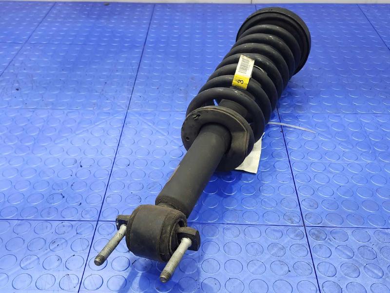 2015 Ford F-150 Strut Assembly