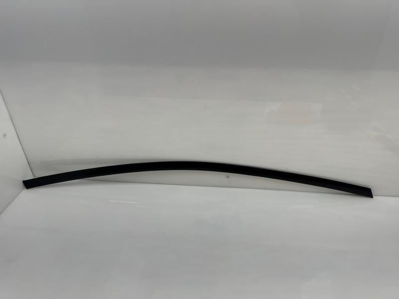 2017 Chrysler Pacifica Front Door Moulding