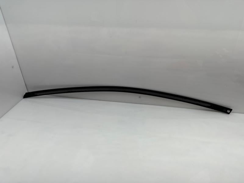 2017 Chrysler Pacifica Front Door Moulding