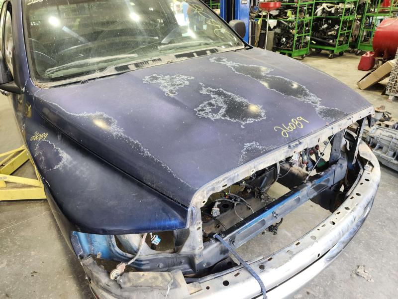 2002 Dodge Ram 1500 Hood