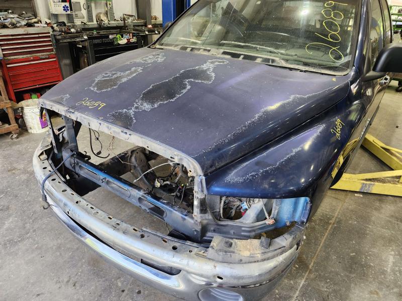2002 Dodge Ram 1500 Hood