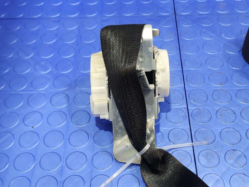 2018 Ford Expedition Rear Seat Belt