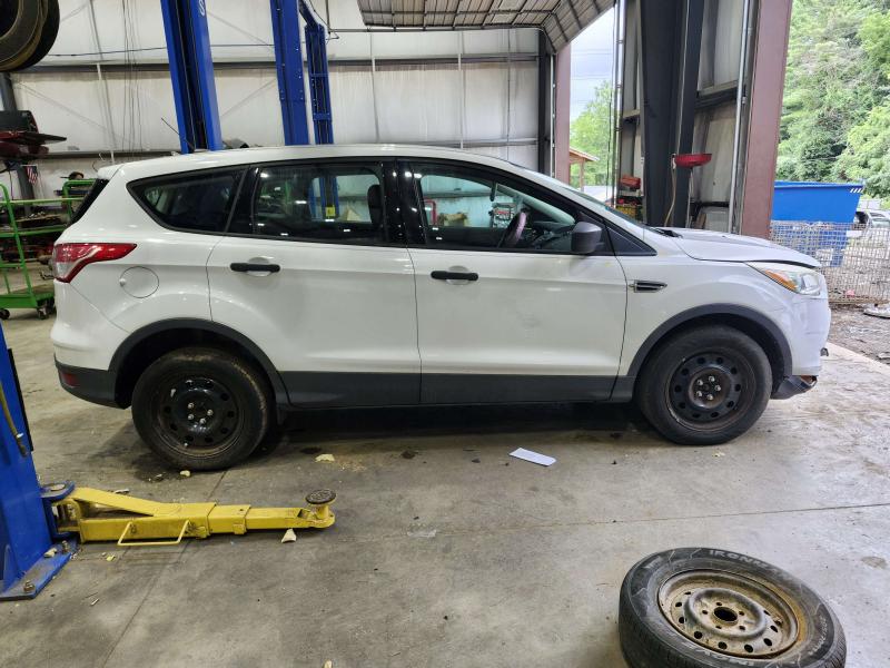 2013 Ford Escape Quarter Glass/Window