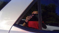 2004 Acura MDX Rear Vent Glass/Window