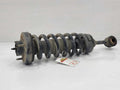 2004 Lincoln Navigator Strut Assembly