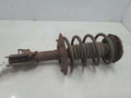 1999 Buick Park Avenue Strut Assembly