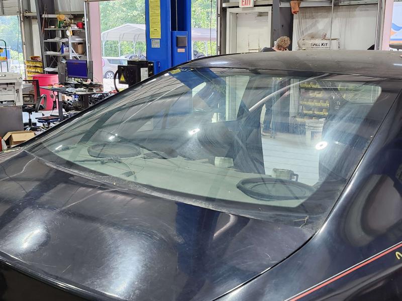 2013 Toyota Camry Back Glass/Window