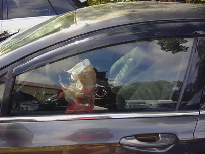 2015 Ford Fusion Front Door Glass/Window