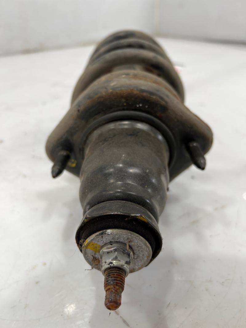 2003 Honda CR-V Strut Assembly