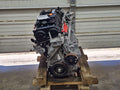 2020 Honda Civic Engine Assembly/Motor