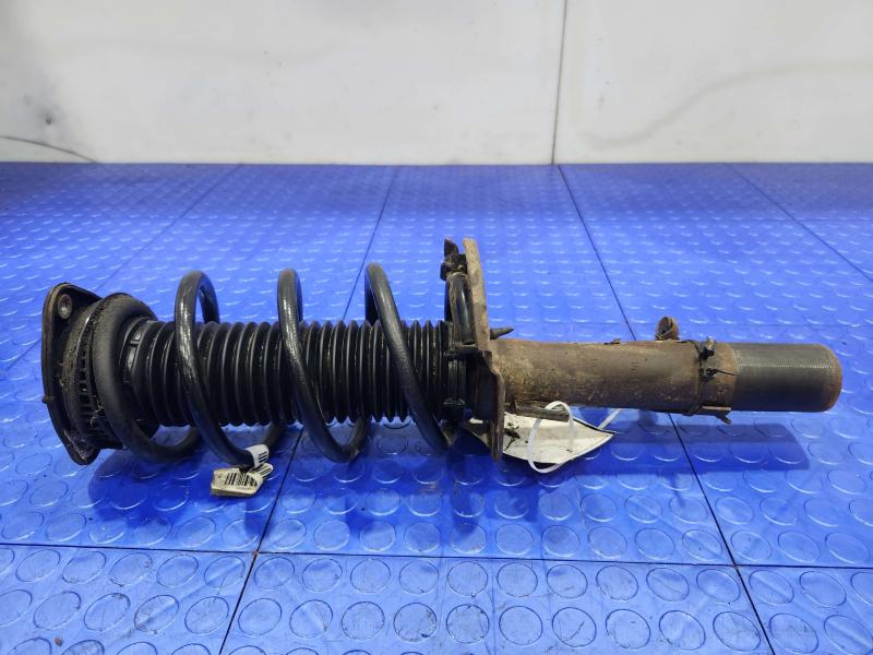 2017 Ford Focus Strut Assembly