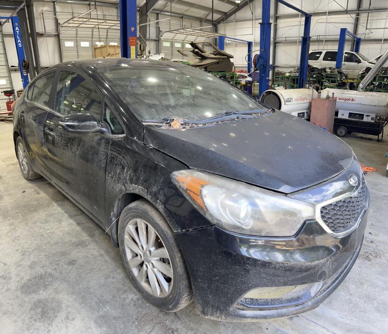 2014 Kia Forte Rear Door