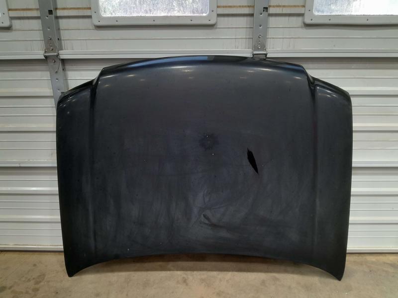 2005 Ford Expedition Hood